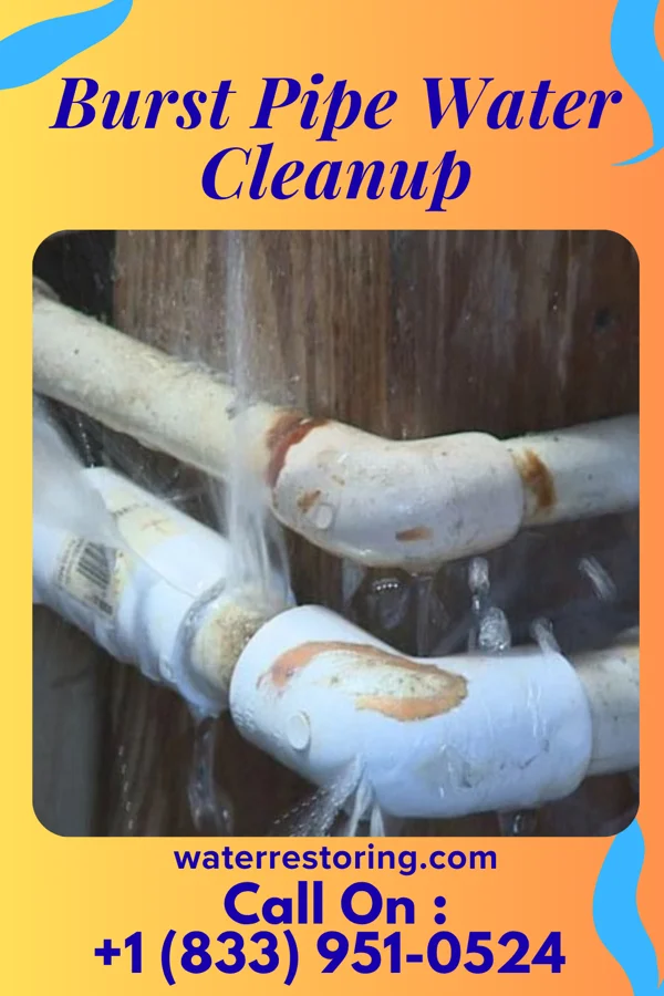 Burst Pipe Water Cleanup in Elizabeth, MN