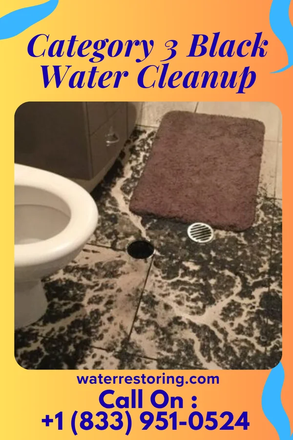 Category 3 Black Water Cleanup in Elizabeth, MN