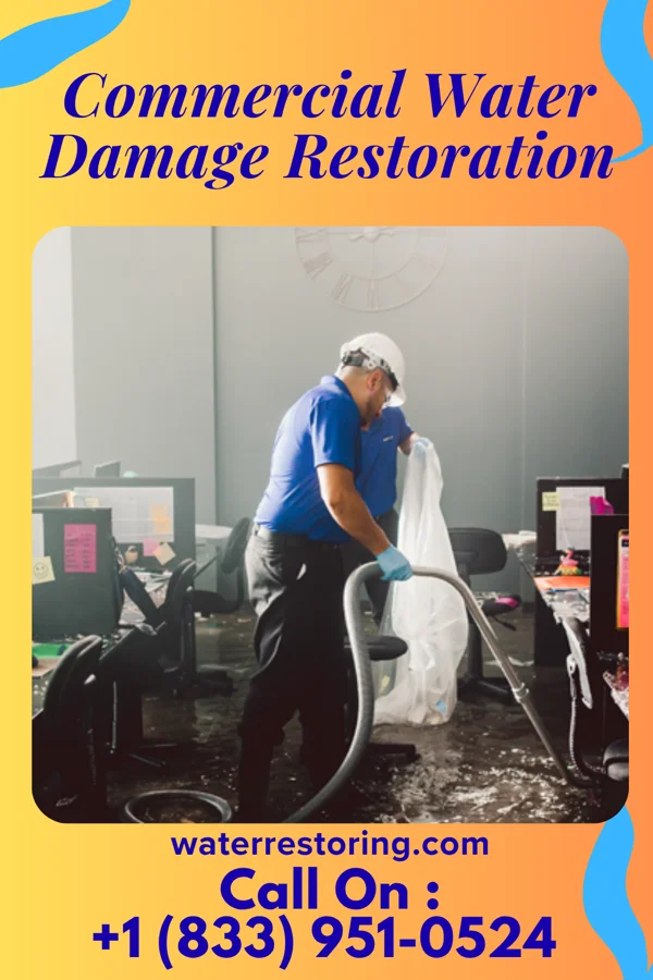 Commercial Water Damage Restoration in Elizabeth, MN