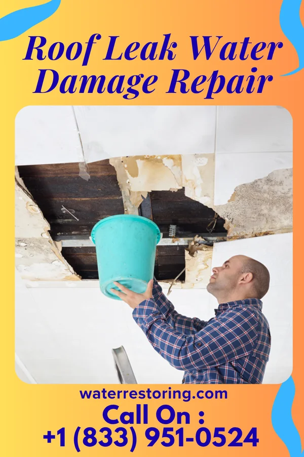 Roof Leak Water Damage Repair in Elizabeth, MN