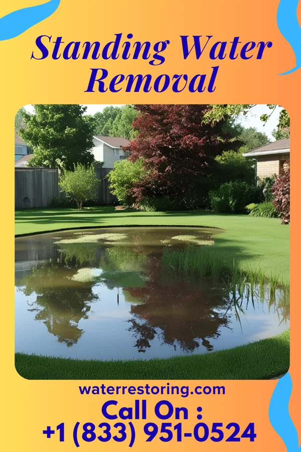 Standing Water Removal in Elizabeth, MN
